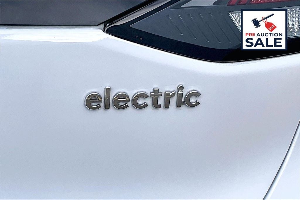 2021 Hyundai Ioniq Electric Limited