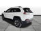 2019 Jeep Cherokee Trailhawk 4x4
