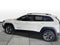 2019 Jeep Cherokee Trailhawk 4x4