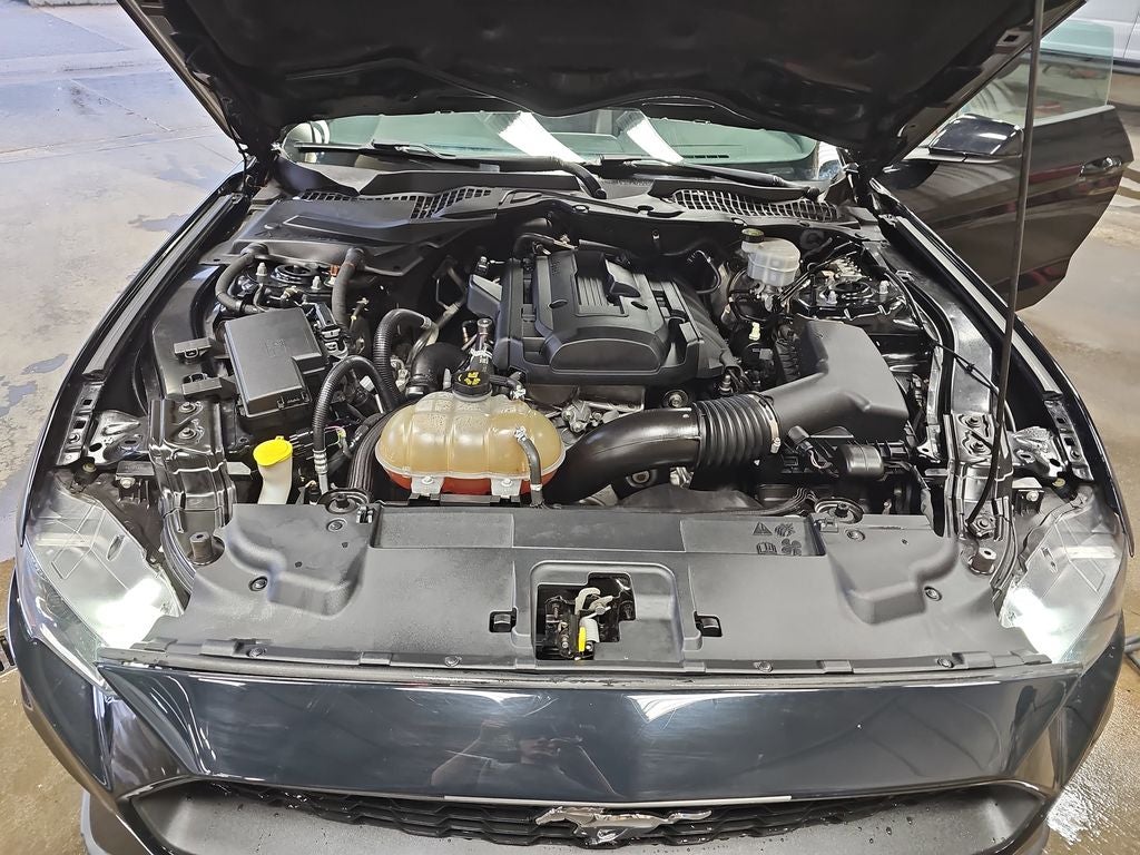 2019 Ford Mustang EcoBoost Premium