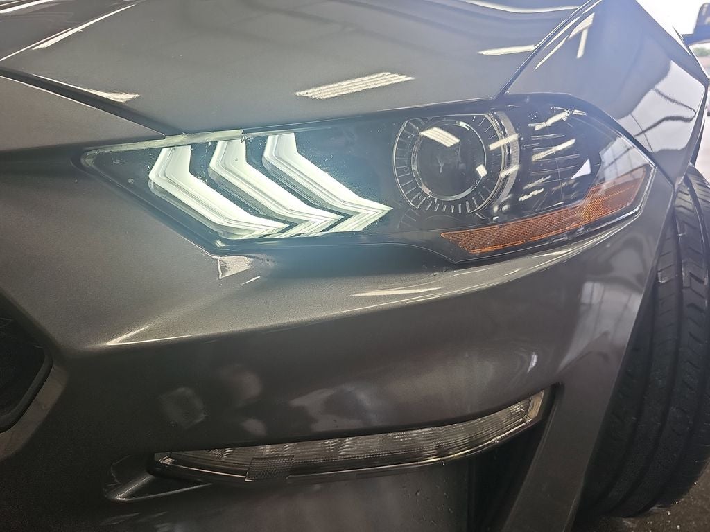 2023 Ford Mustang EcoBoost